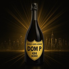 S dog X Jack Junior Dom P 4x4 Remix.wav