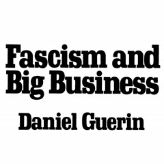 9. Fascism In Power: Economic Policy