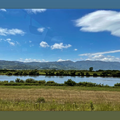 Waat U need Y2 Showma