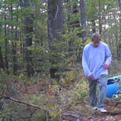 skeletons in this flower field (prod. eeryskies)