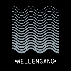 Wellengang LIVE - Burgsaal Geroldsgrün| Techno - dénn¡¿