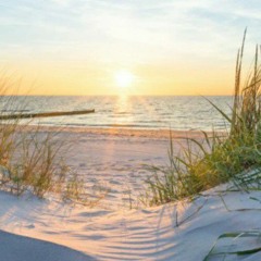 Sand und Strand (feat. T.Bier)