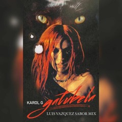 Karol G - Gatubela (Luis Vazquez Sabor Mix)FREE DOWNLOAD