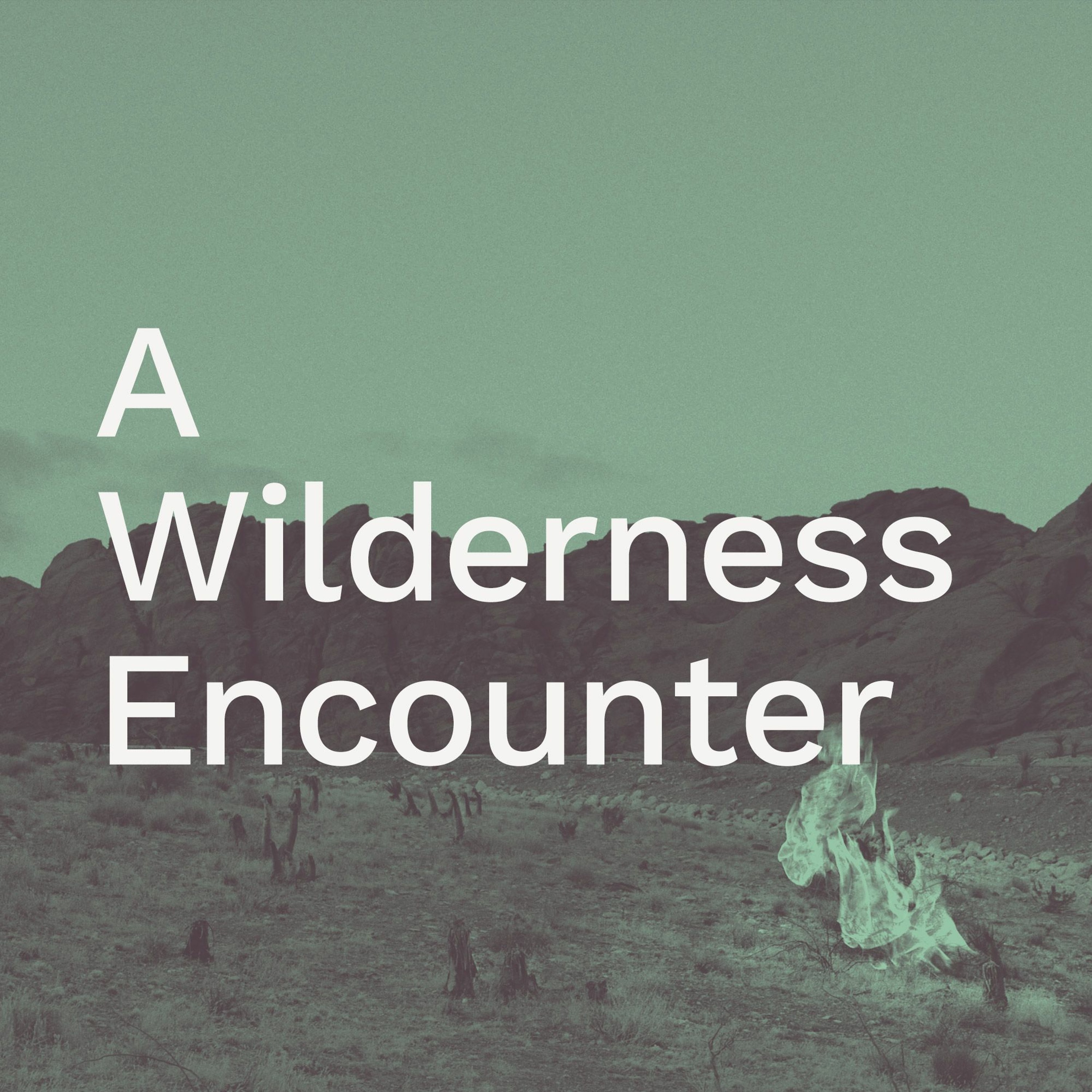 ’A Wilderness Encounter’ / Neil Dawson