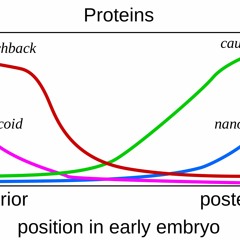 What If The Brain Wasn't In Mono