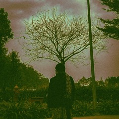 ăn mứt đường nghe bức tường