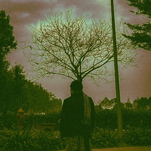 ăn mứt đường nghe bức tường