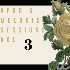 Afro & Melodic Sessions  #3 | with Rampa, Moojo, Adriatique, Tyla, Andot, Dani Barbosa & more
