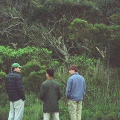 A1: Hook Rock Wrasse