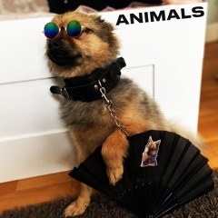ANIMALS (MZPERX Hard Flip) Free DL