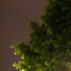 flute_shoegazer