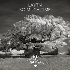Laytn - So Much Time (SR 'Back to 96' Remix)