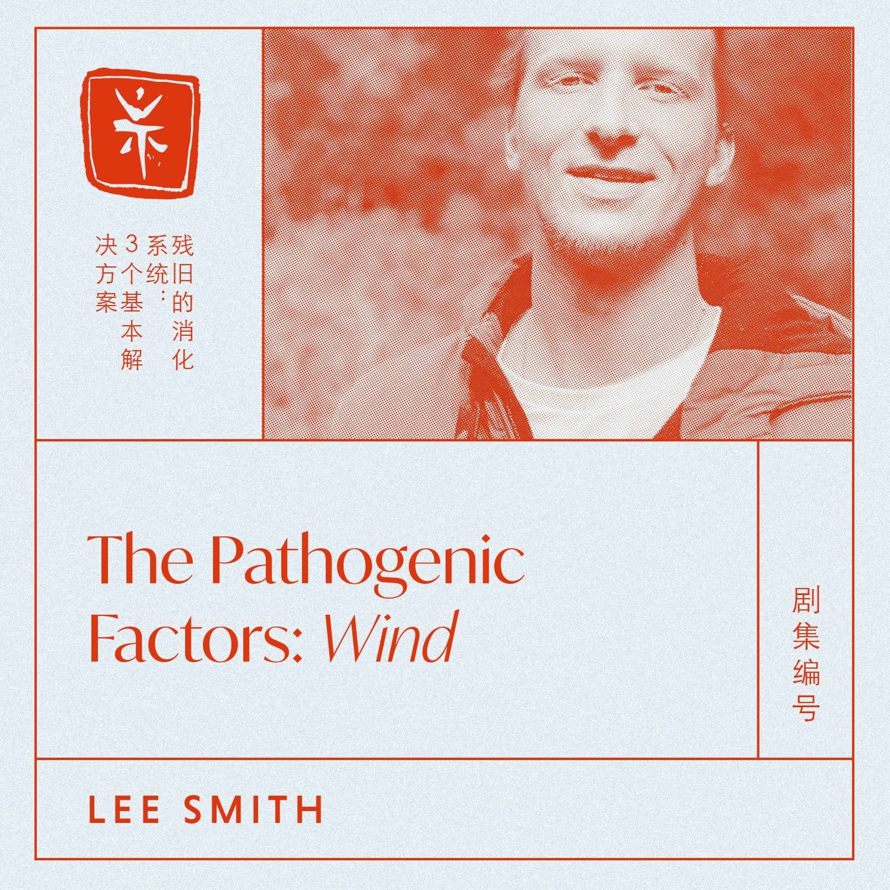 06: The Pathogenic Factors: Wind, with TCM Dr. Lee Smith episode artwork