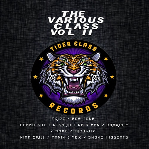Combo Kill - Look To The Shadows (The Various Class vol 02)