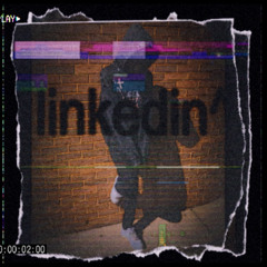 linkedin (p. yvkie x woahh3k)