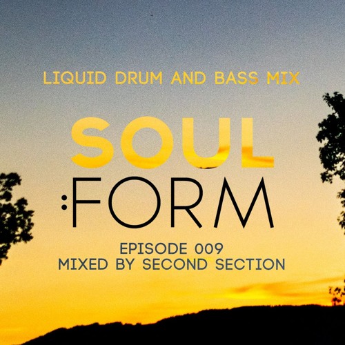 Soul:Form Episode 009 - Second Section (Liquid Drum and Bass Mix)