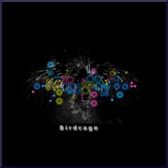 Birdcage - Ronny Richter Edit (Free Dl)