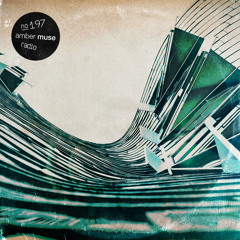Amber Muse Radio Show #197 with Taran & Lomov // 28 Aug 2020