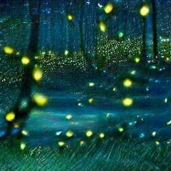 fireflies [EP]