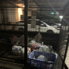 trash 産地直送