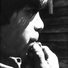 Despierta espectro, anocheció