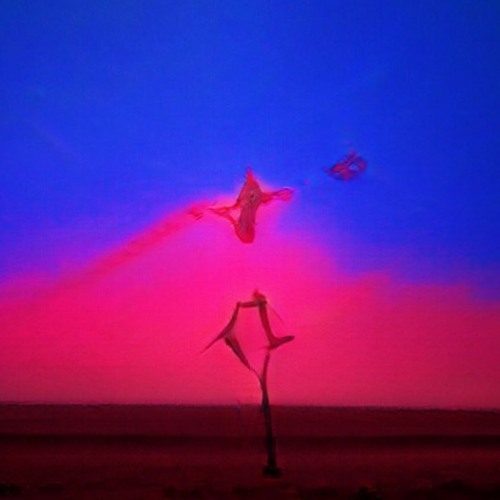 Finding a Love Story (Emily Glass // Taylor Swift)