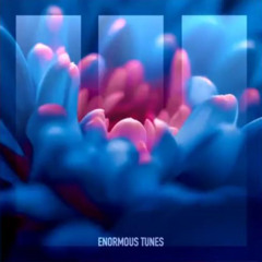 Daniel Portman & Croatia Squad - Own the Night (Extended Mix) Date of release 3-1-2025
