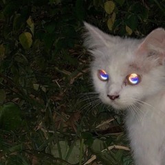 forever, i love you.