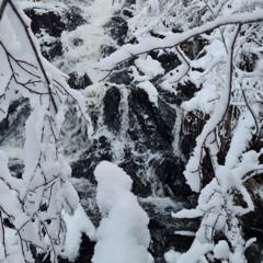 Old Frost and the Pleasurefalls