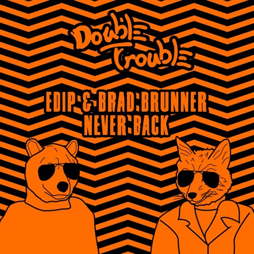 EdiP & Brad Brunner - Never Back ( Original Mix ) Snipped