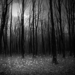 H-K-S - Midnight Hell