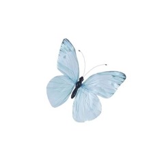 love me like that - sam kim (cover)