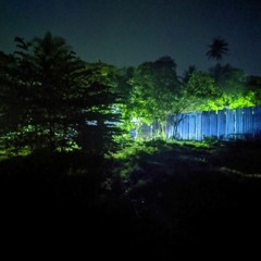 #Forest #Night Vairagi - Intuitive Realities (2017 Live Version)