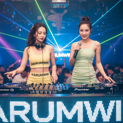 揽佬 x Ar刘夫阳 – 大展鸿图 (Da Zhan Hong Tu) ElectroVina Remix 2025 By Harumwin