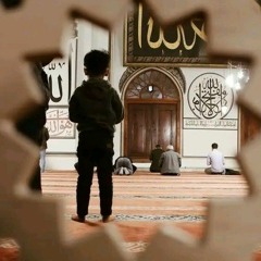 سورة القصص بصوت الشيخ عبد الله بدر