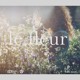 on la fleur