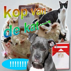 Kop Van De Kat (Verjaardag Mix)