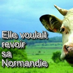 Elle Voulait Revoir Sa Normandie