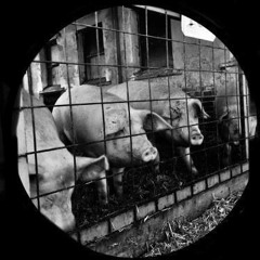 Ergot/Divnyanko/Hen10 - Körgoroth