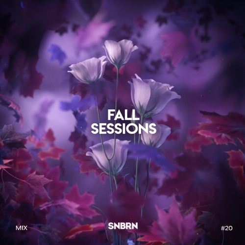 Fall Sessions #20