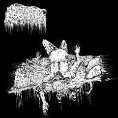 Blindsided by Reality