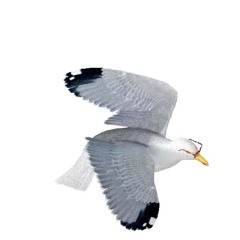 Ringtone (prod. Ekebabyy, Yeahitis)