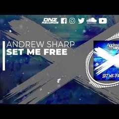 DNZF1289  ANDREW SHARP - SET ME FREE  DNZ Records 🎵🔥