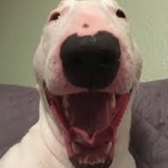 (OLD FILE) Go Away - prod. jvsper x kaaj