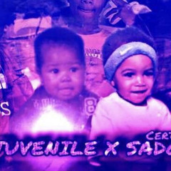APR JUVENILE FT CERTIFIED SA - REFA