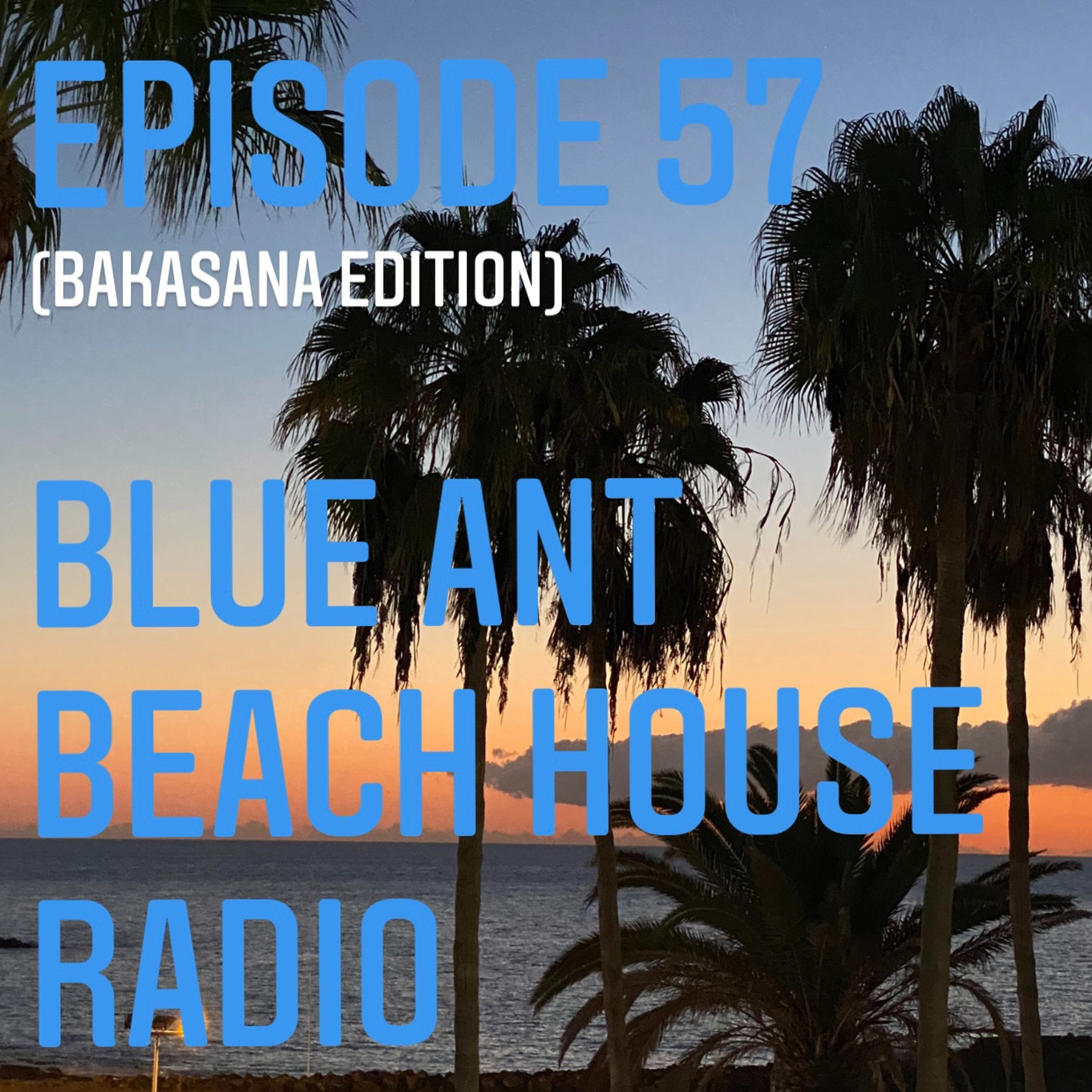 BlueAnt Beach House Radio