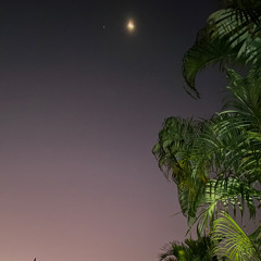 October '25 House and techno Mix on Vinyl