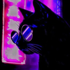 Litty Kitty Hours: Funky Electro House Mix! 7-11-24