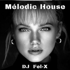 Mélodic House  Mix DJ Fel-X