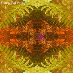 Entities